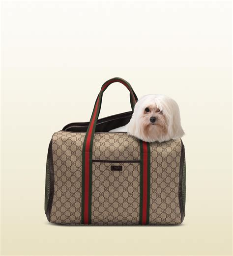 gucci staffordshire dog bag|Gucci clothing for kids.